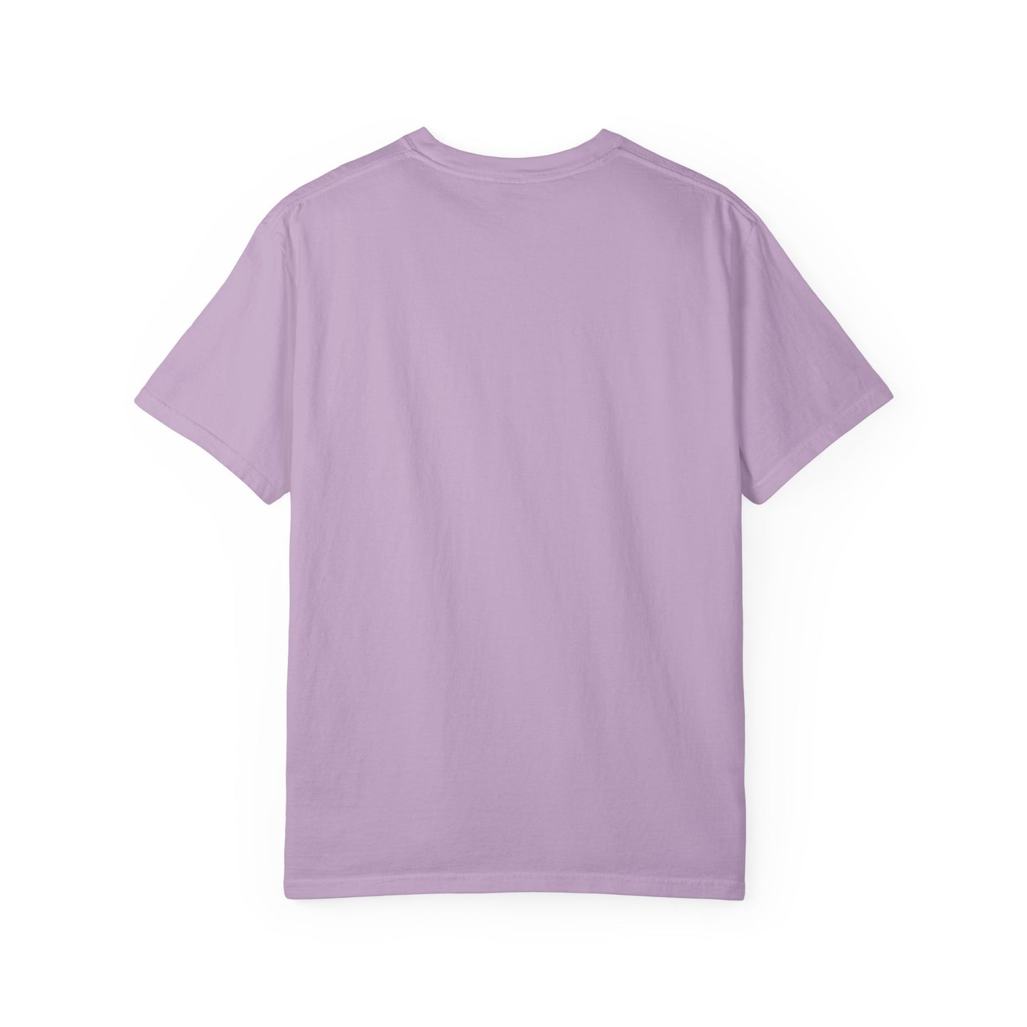 Chardikala Spirit T-Shirt – Unisex Garment-Dyed Artistic Tee