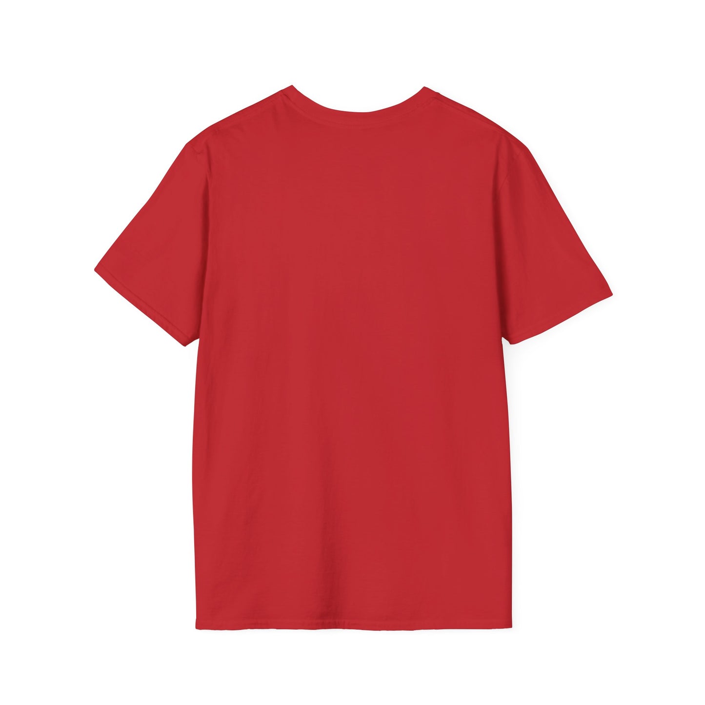Nihang Singh Graphic T-Shirt – Punjabi Heritage Style, Unisex Fit