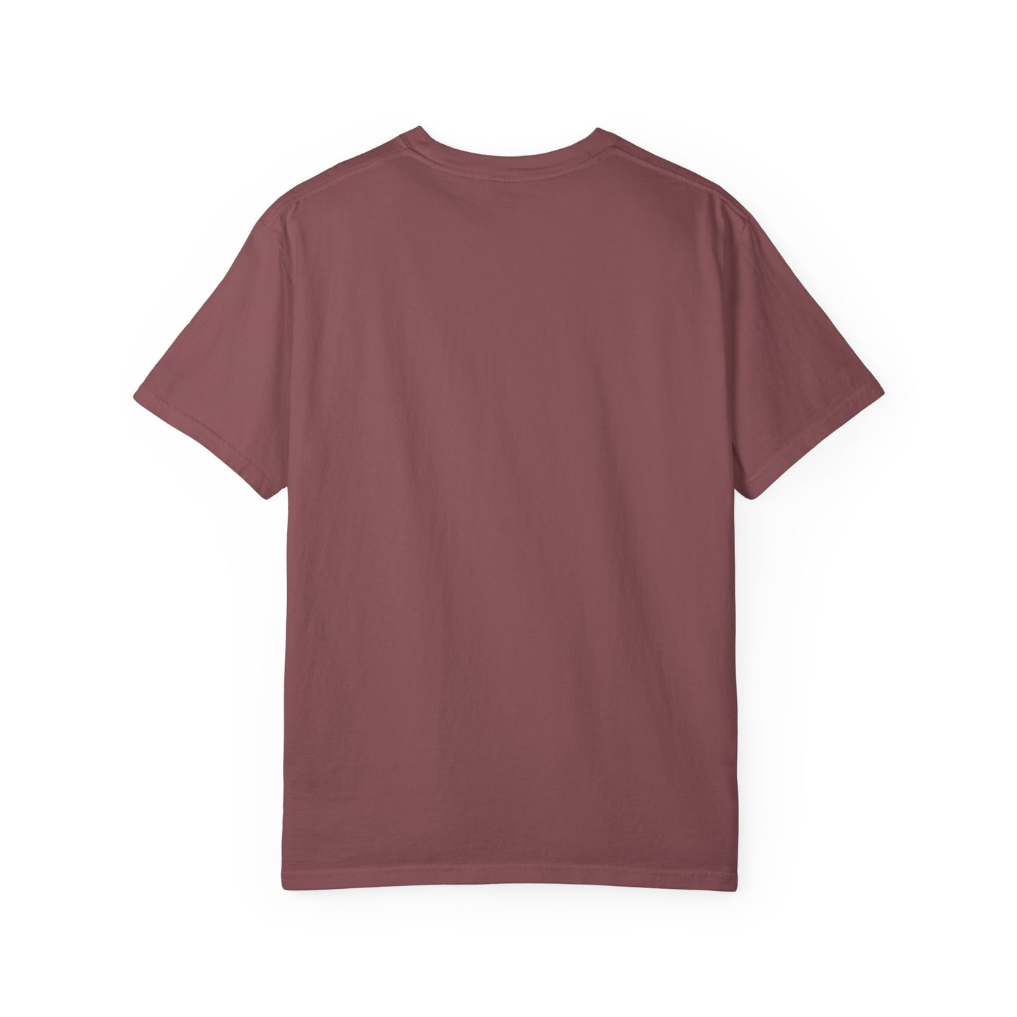Chardikala Spirit T-Shirt – Unisex Garment-Dyed Artistic Tee