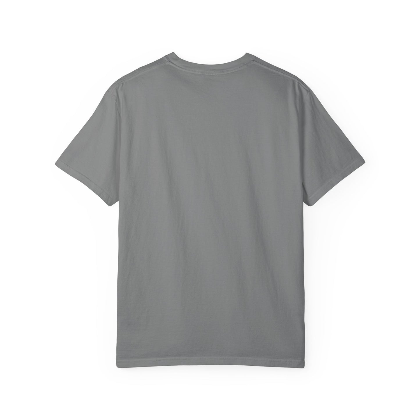Chardikala Spirit T-Shirt – Unisex Garment-Dyed Artistic Tee