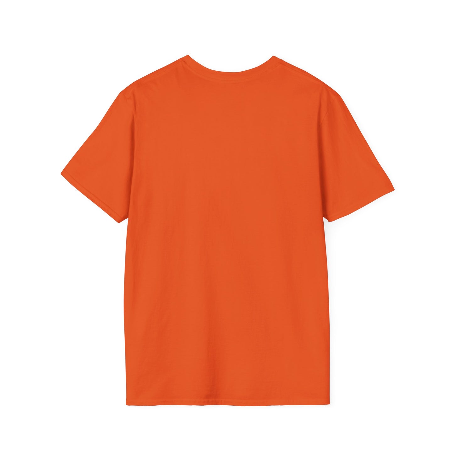 Nihang Singh Graphic T-Shirt – Punjabi Heritage Style, Unisex Fit