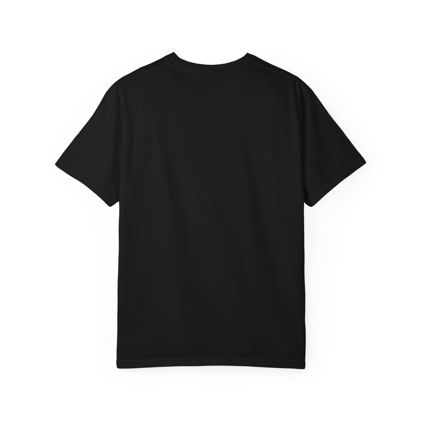Chardikala Spirit T-Shirt – Unisex Garment-Dyed Artistic Tee