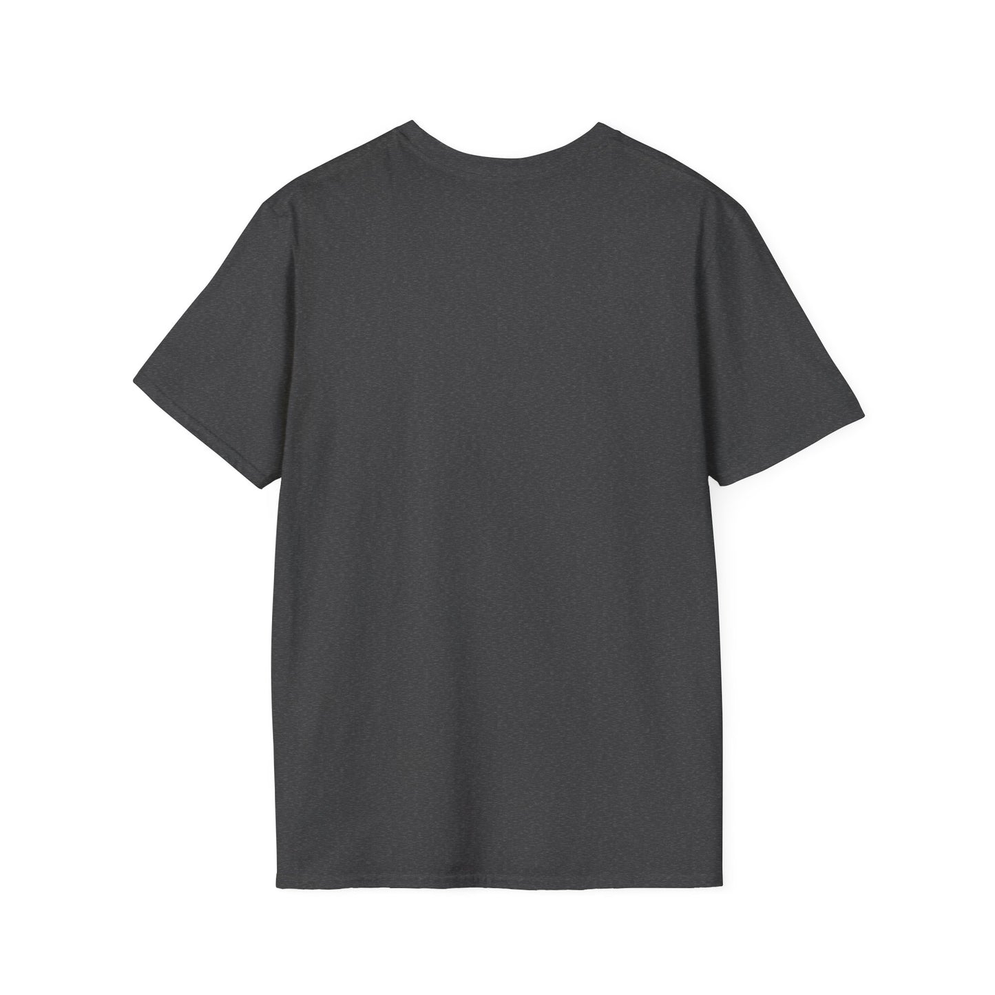 Nihang Singh Graphic T-Shirt – Punjabi Heritage Style, Unisex Fit