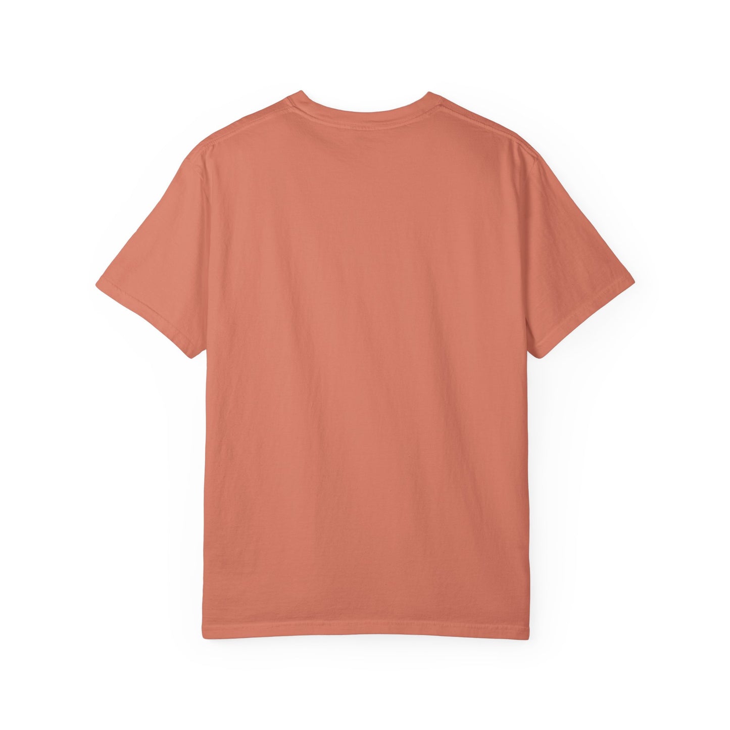 Chardikala Spirit T-Shirt – Unisex Garment-Dyed Artistic Tee
